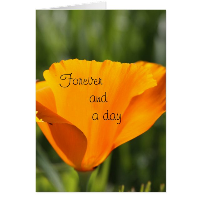 Forever and a day cards (Front)