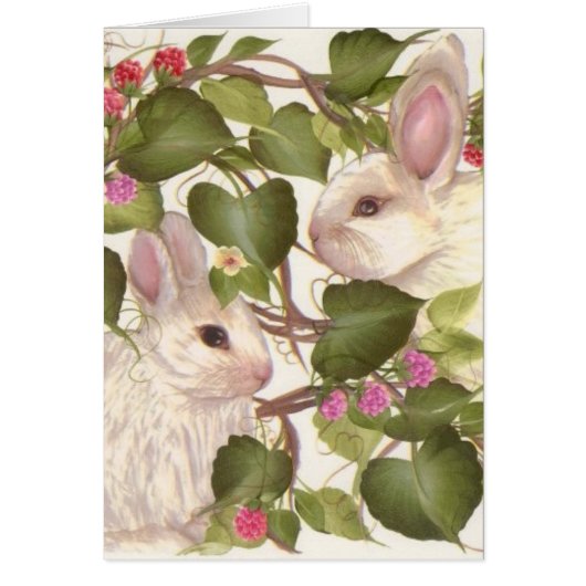 Forever Bunnies Cards (Front)