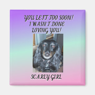 Forever Cherished: Tribute To My Fur Baby 1 photo Magnet