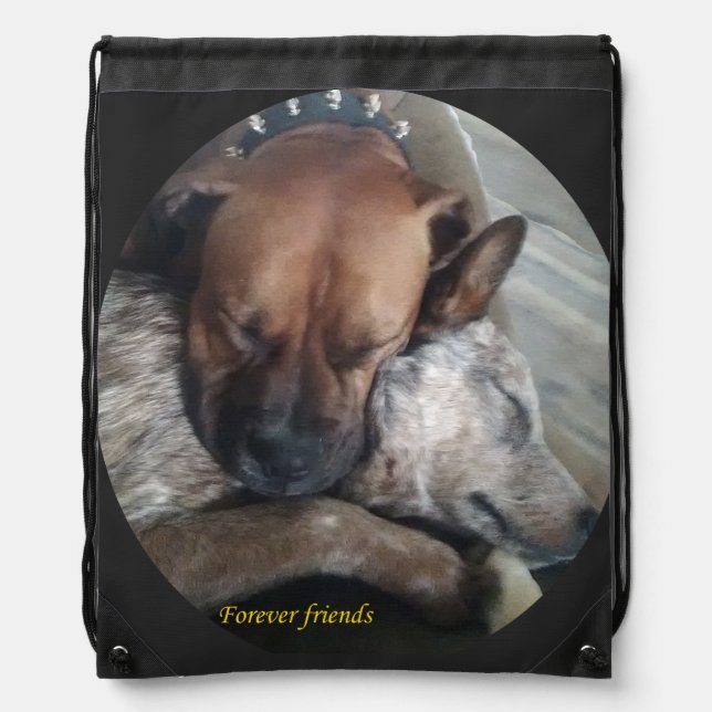 Forever friends drawstring bag (Front)