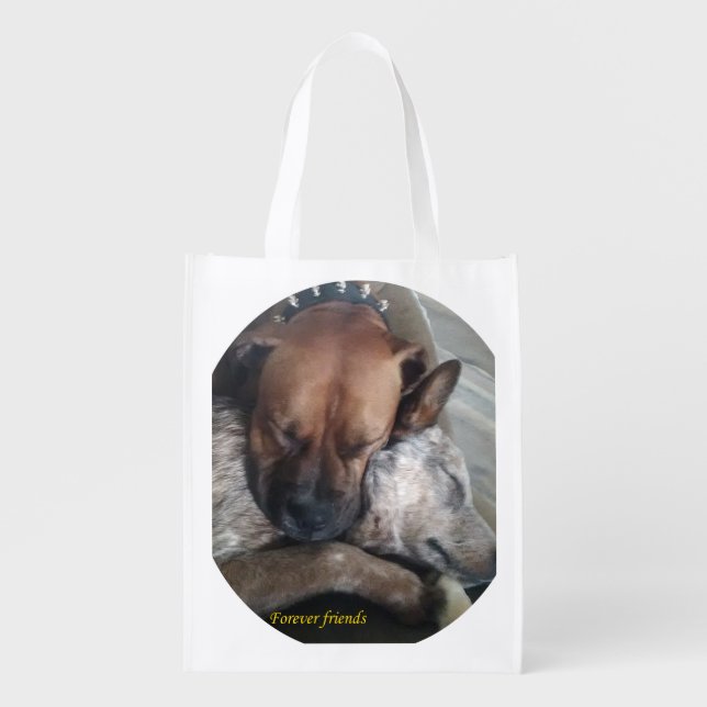 Forever friends grocery bag (Front)