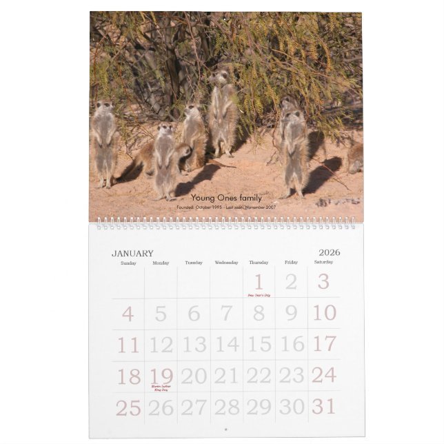 Forever Friends - Meerkat Calendar (Jan 2026)