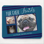 Forever Friends Pet Photo Collage Blue Mouse Pad<br><div class="desc">3 photo pet collage mouse pad template is easy to use. All text can easily be changed. Great for the pet lover in your life. Blue</div>