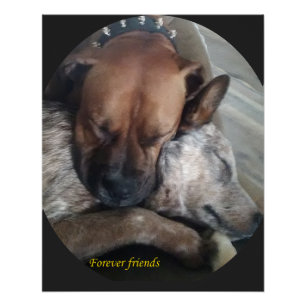 Forever friends poster