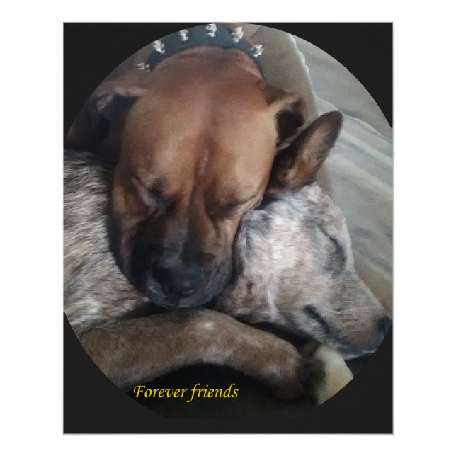 Forever friends poster (Front)