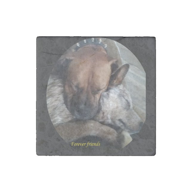 Forever friends stone magnet (Front)