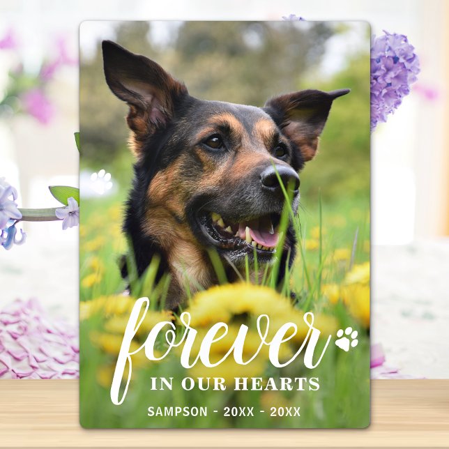 Forever In Hearts Personalized Photo Pet Memorial Plaque (Creator Uploaded)