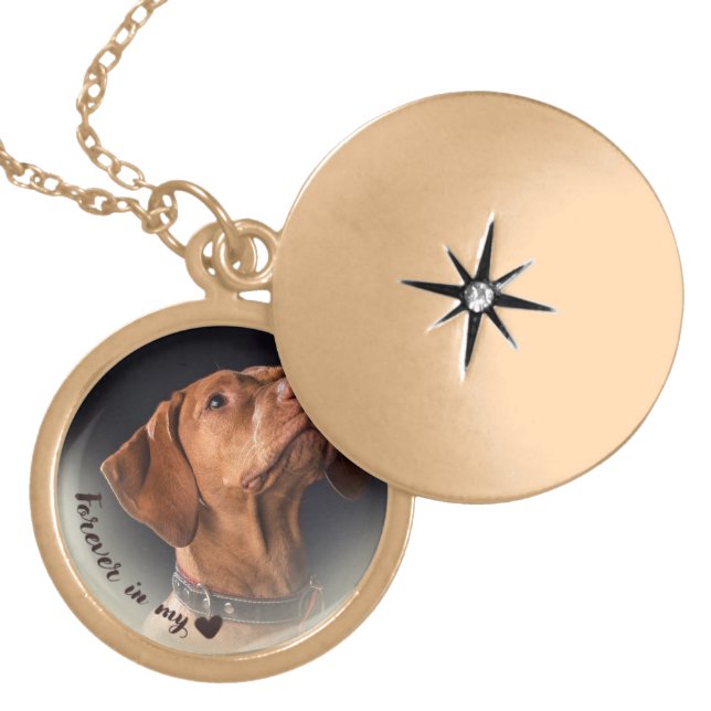 Forever In My Heart Locket Memorial Necklace (Front)