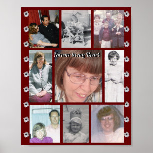 Forever In My Heart Nine Photo Red African Daisy Poster