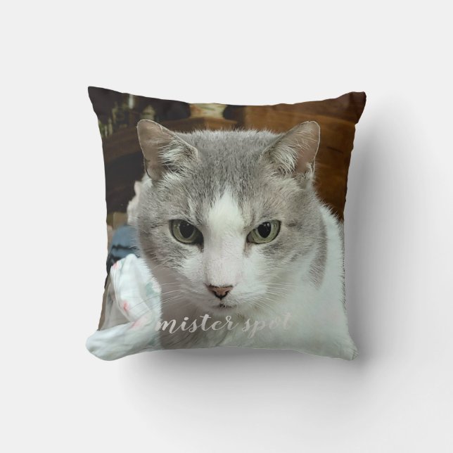 Forever In Our Hearts 2 Photo Name Pet Cat Dog Throw Pillow (Front)
