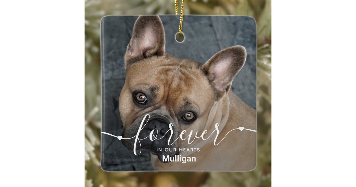 Forever in our Hearts Black Dog Photo Pet Memorial Ceramic Ornament ...
