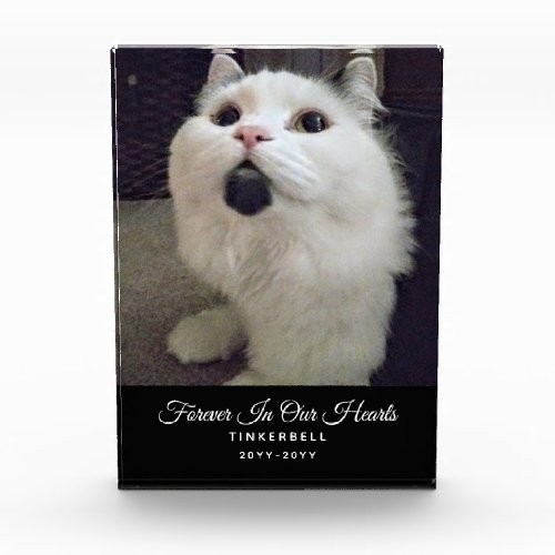 Forever In Our Hearts Cat Memorial Pet Photo Name