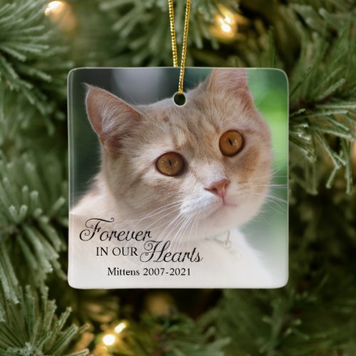 Forever In Our Hearts Cat Photo Ceramic Ornament