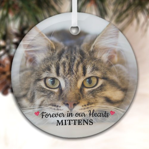 Forever In Our Hearts Cat Photo Pet Memorial Glass Ornament