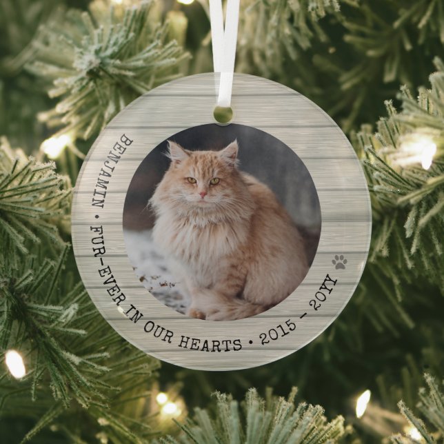 Forever in Our Hearts Cat Photo Pet Memorial Glass Ornament (Insitu)