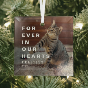 Forever in Our Hearts Custom Cat Photo Memorial Glass Ornament