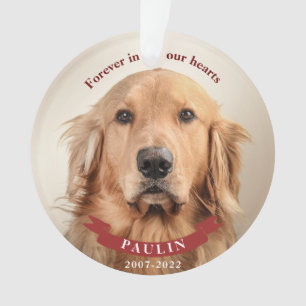 Forever in Our Hearts - Custom Pet Photo Ornament