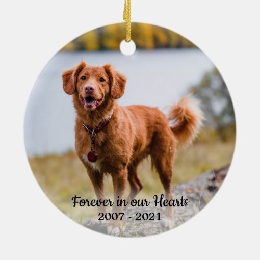 Forever in our Hearts - Dog 2 Photo Pet Memorial Ceramic Ornament | Zazzle