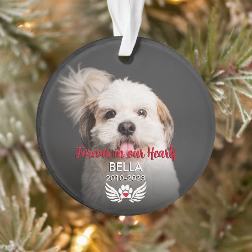 Forever in our Hearts Dog 2 Photo Pet Memorial Ornament