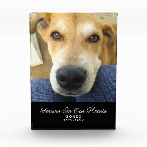 Forever In Our Hearts Dog Memorial Pet Name Photo Block