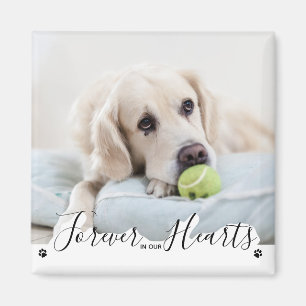 Forever in our Hearts Dog Pet Memorial Magnet