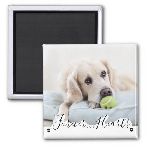 Forever in our Hearts Dog Pet Memorial Magnet