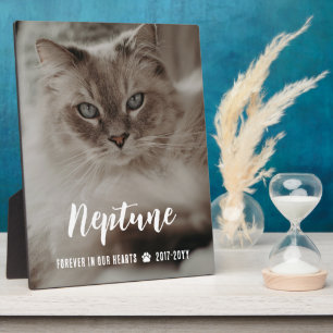 Forever In Our Hearts Name in Script Cat Memorial Plaque