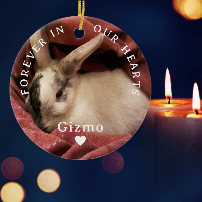 Forever In Our Hearts Personalized Pet Memorial Ceramic Ornament | Zazzle