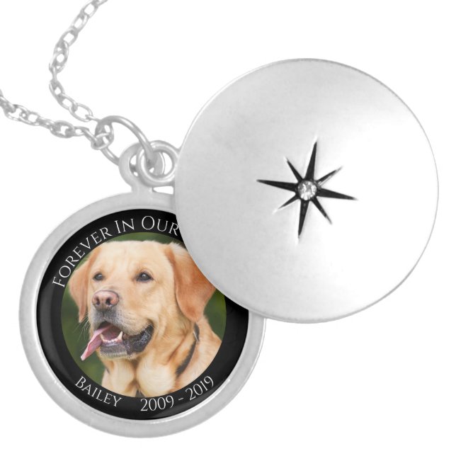 Forever In Our Hearts Pet Dog Cat Photo Memorial Locket Necklace (Front)