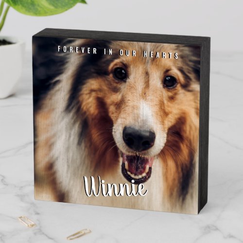 Forever in Our Hearts Pet Memorial Keepsake Wooden Box Sign