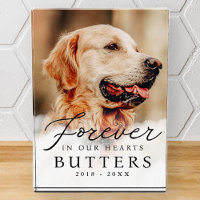 Forever in our Hearts Pet Memorial Modern