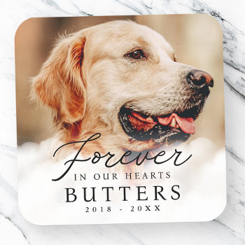 Forever In Our Hearts Pet Memorial Modern Photo Square Sticker by WhiteOakMemorials at Zazzle