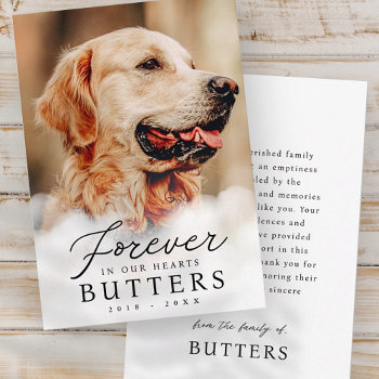 Forever In Our Hearts Pet Memorial Modern Photo Thank You Card by WhiteOakMemorials at Zazzle