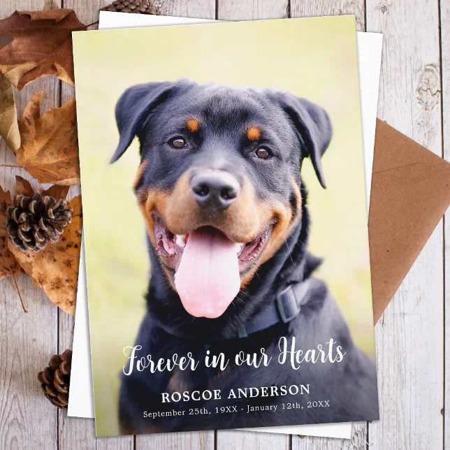 Forever In Our Hearts Pet Memorial Modern Photo Thank You Card
