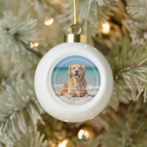 Forever in our Hearts Pet Memorial Name Photo
