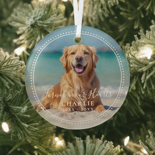 Forever in our Hearts Pet Memorial Name Photo