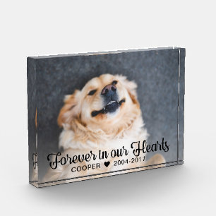 Forever in our Hearts Pet Memorial Photo Block