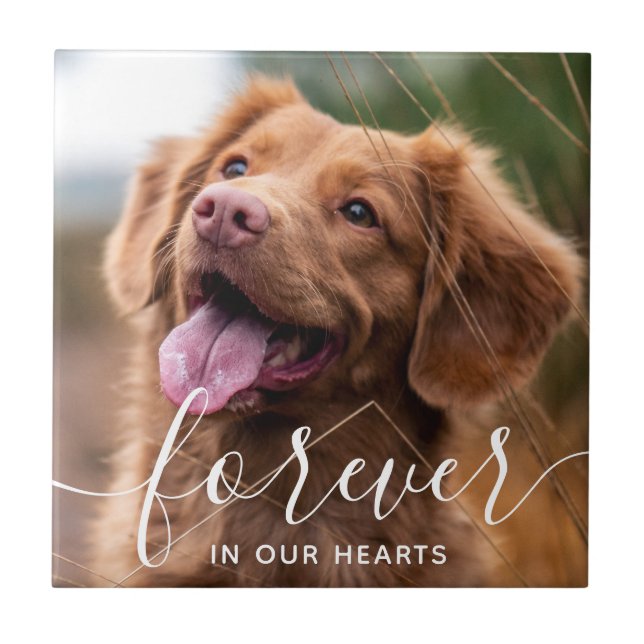 Forever in our Hearts Pet Memorial Photo  Ceramic Tile (Front)