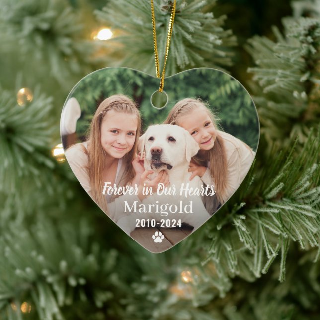 Forever in Our Hearts Pet Memorial Photo Keepsake Ceramic Ornament (Tree)