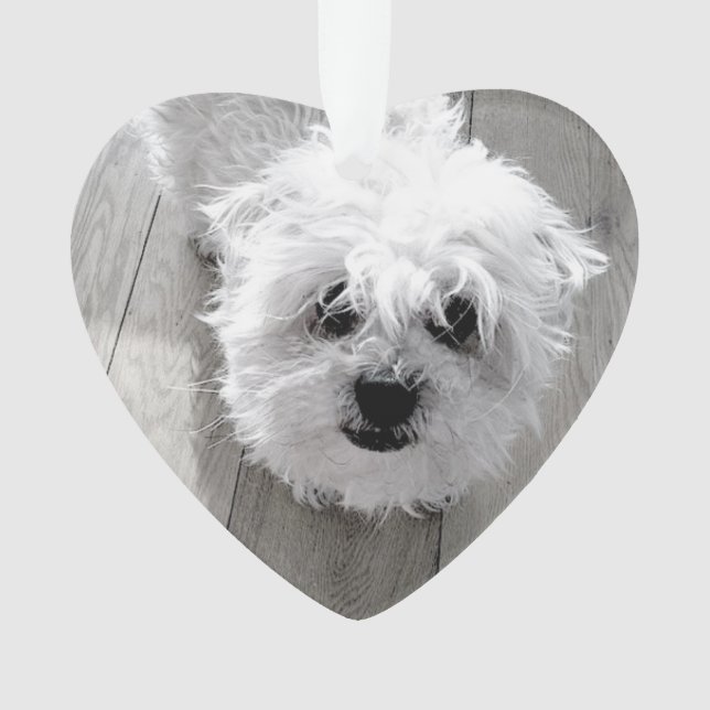 FOREVER IN OUR HEARTS Pet Memorial PHOTO Keepsake Ornament (Front)
