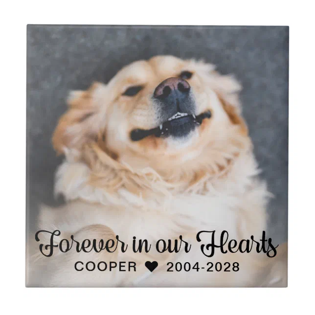 Forever in our Hearts Pet Memorial Photo Plaque Ceramic Tile | Zazzle