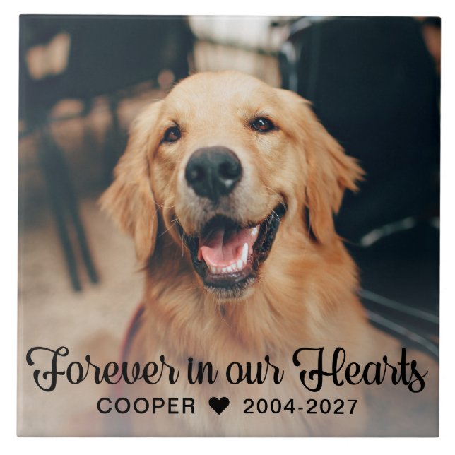 Forever in our Hearts Pet Memorial Photo Plaque Ceramic Tile (Front)