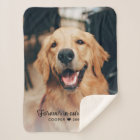 Forever in our Hearts Pet Memorial Photo