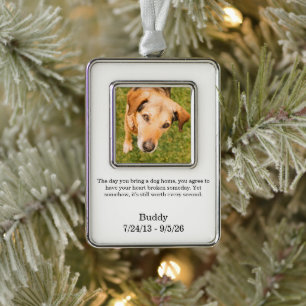 Forever in Our Hearts Pet Remembrance Keepsake Christmas Ornament