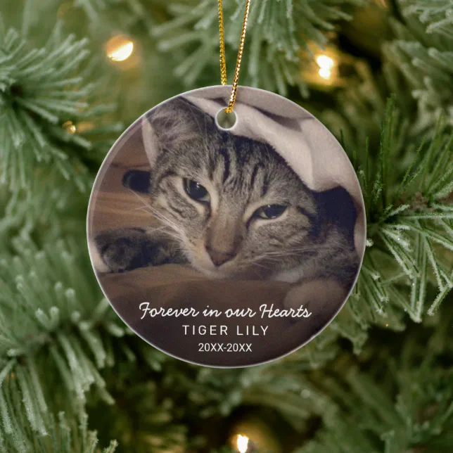 Forever in Our Hearts Photo Cat Pet Memorial Ceramic Ornament | Zazzle