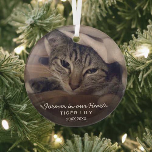 Forever in Our Hearts Photo Cat Pet Memorial Glass Ornament