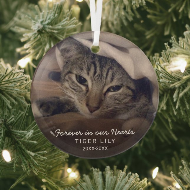 Forever in Our Hearts Photo Cat Pet Memorial Glass Ornament (Insitu)