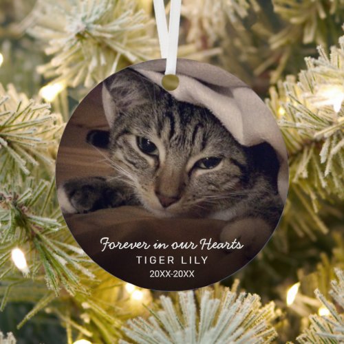 Forever in Our Hearts Photo Cat Pet Memorial Metal Ornament