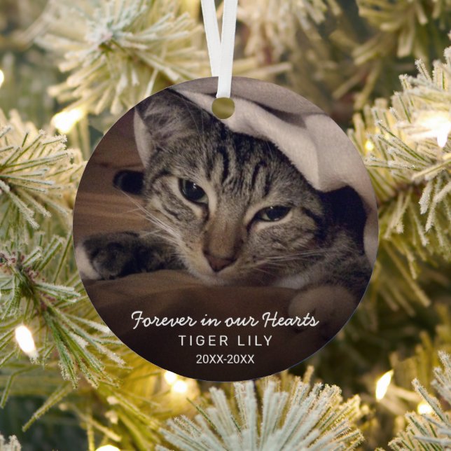 Forever in Our Hearts Photo Cat Pet Memorial Metal Ornament (Insitu)