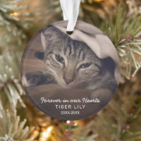 Forever in Our Hearts Photo Cat Pet Memorial